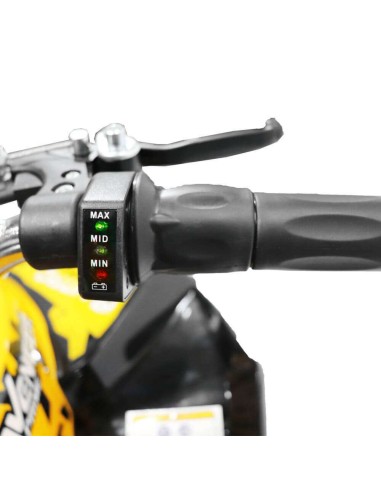 mini Quad NITRO AVENGER PRIME 1200w 48v