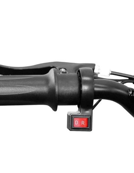 mini Quad NITRO PHYTON 1000w 36v R6