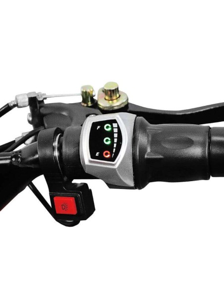 mini Quad NITRO PHYTON 1000w 36v R6