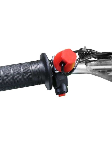 miniQuad Avenger E-Start 49cc R6