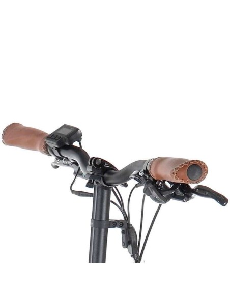 Bicicleta electrica EMOVEYOU 250 W B52