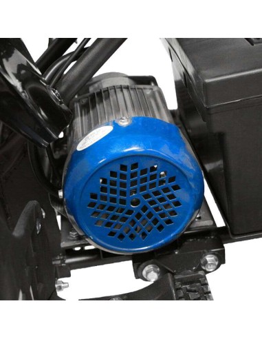 Quad NITRO SPEEDY 1000W 48V R8