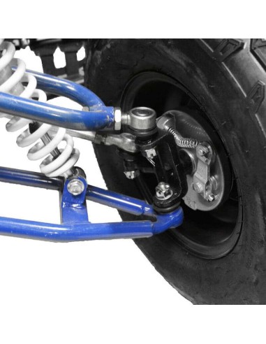 Quad NITRO SPEEDY 1000W 48V R8