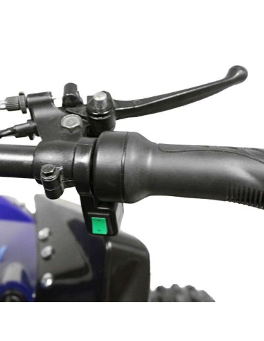 Quad NITRO SPEEDY 1000W 48V R8