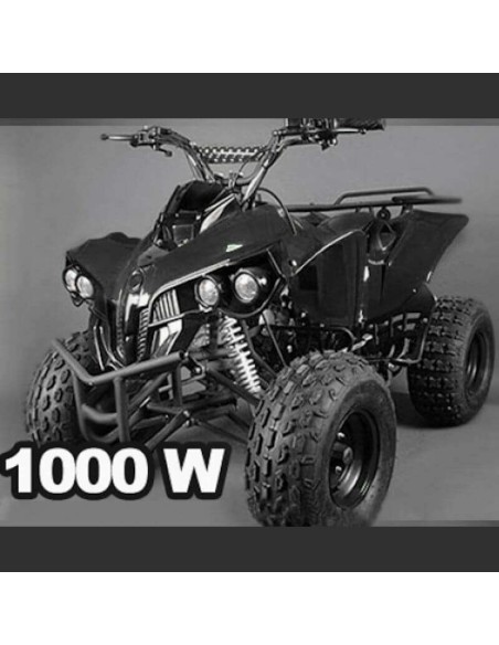 Quad NITRO WARRIOR 1000W 48V R8 XXL