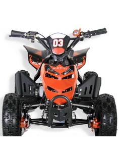 miniQuad NITRO REPTI 49cc R6 2