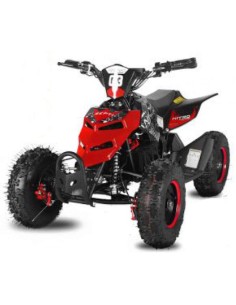 miniQuad NITRO REPTI 800W R6