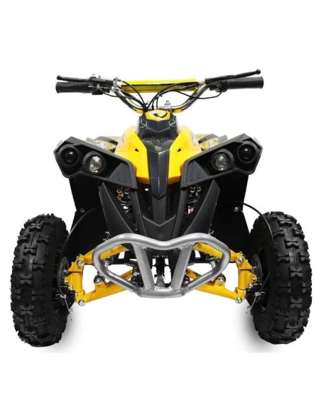 miniQuad NITRO AVENGER CARDAN 1200W R6