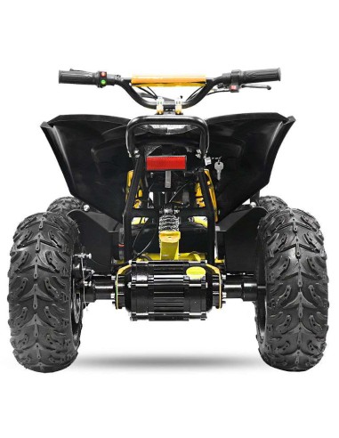 miniQuad NITRO AVENGER CARDAN 1200W R6