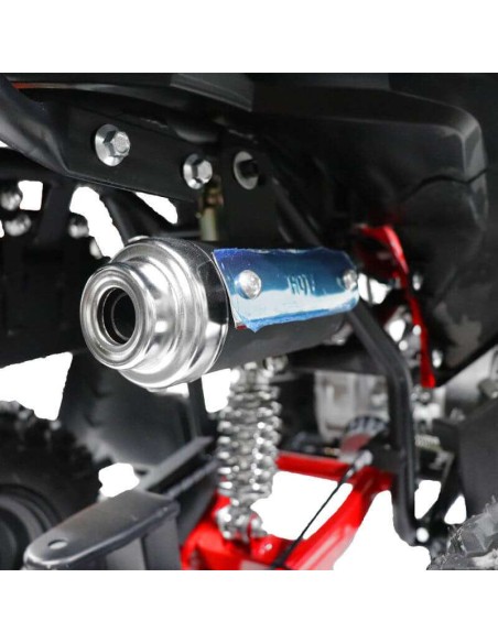 miniQuad AVENGER E-START 49cc R6