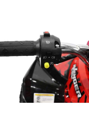 miniQuad AVENGER E-START 49cc R6