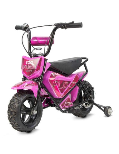 miniMoto ECO FLEET 250W