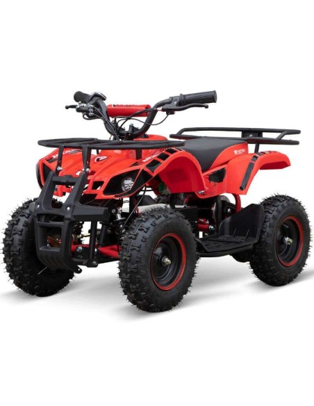 miniQuad TORINO 1000w 48v NITRO R6