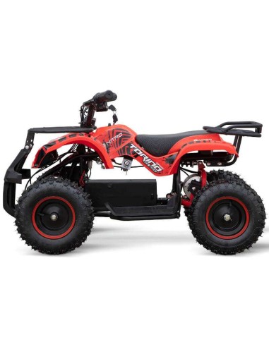 miniQuad TORINO 1000w 48v NITRO R6