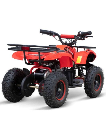 miniQuad TORINO 1000w 48v NITRO R6