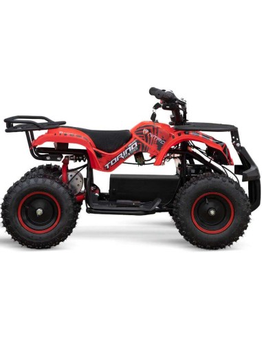 miniQuad TORINO 1000w 48v NITRO R6