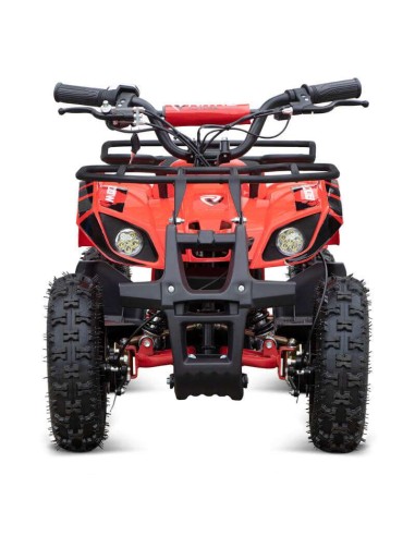 miniQuad TORINO 1000w 48v NITRO R6