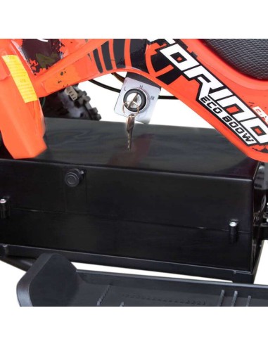 miniQuad TORINO 1000w 48v NITRO R6