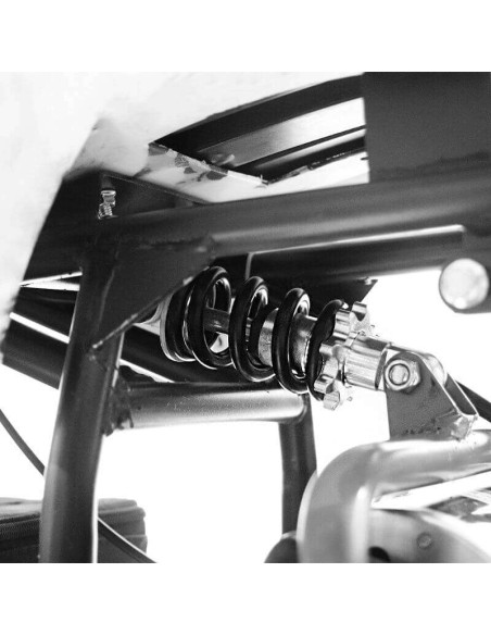 miniQuad TORINO 1000w 48v NITRO R6