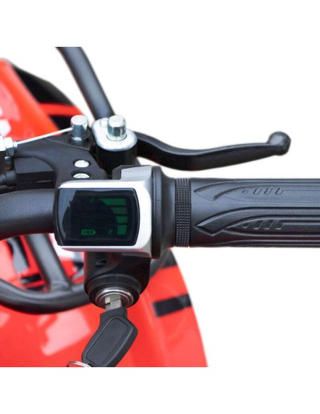 miniQuad TORINO 1000w 48v NITRO R6