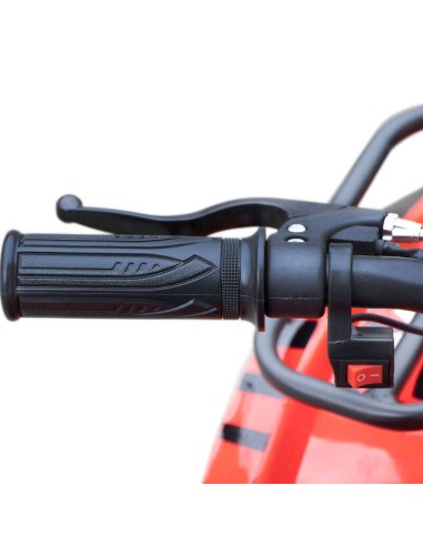 miniQuad TORINO 1000w 48v NITRO R6