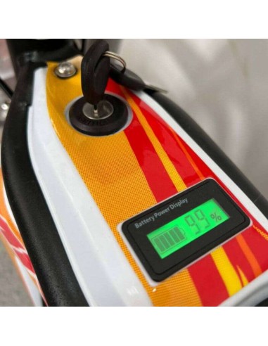 Pit Bike IMR 1600W 12-10