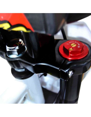 pitBike IMR CORSE 155 RR