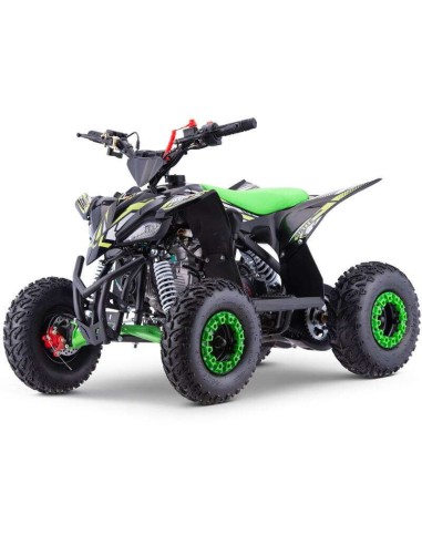 miniQuad ROAN RATTE 90CC R6
