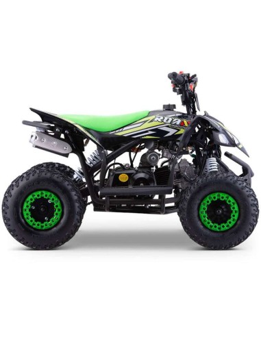 miniQuad ROAN RATTE 90CC R6