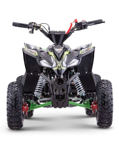 miniQuad ROAN RATTE 90CC R6