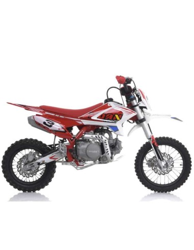 Pit bike 110cc ROAN THUNDER Semi-auto 14-12
