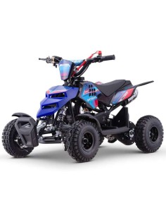 miniQuad ROAN Raptor 49cc R4
