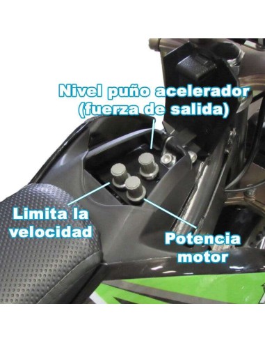 miniMoto electrica Roan 903 1100W 12-10