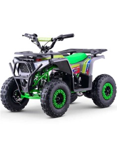 miniQuad ROAN BULL 1000W R6