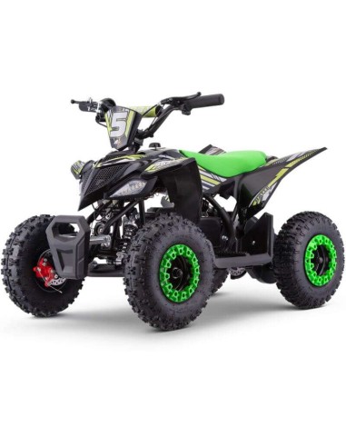 miniQuad ROAN RATTE 800W R6