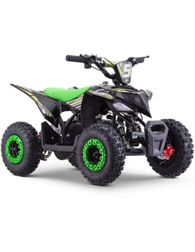 miniQuad ROAN RATTE 800W R6