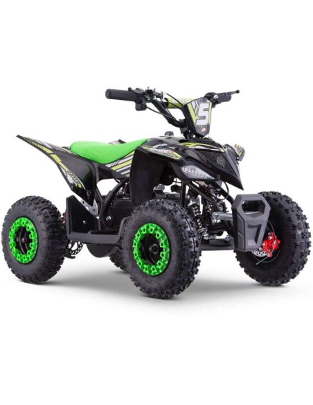 miniQuad ROAN RATTE 800W R6