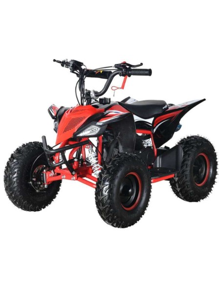 miniQuad Malcor KF 49cc