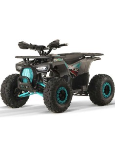 QUAD NITRO DUSTRIDER 1500W 60V R8