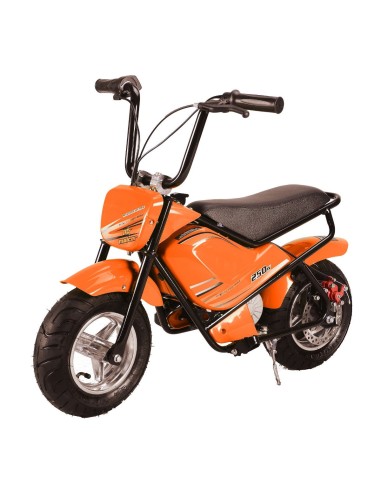 miniMoto electrica 250W MALCOR