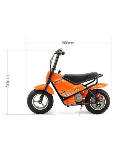 miniMoto electrica 250W MALCOR