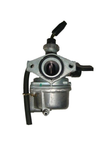 Carburador 19 pitbike