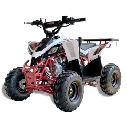 Mini Quad Infantil Malcor MTR Predator 110cc | PitBikeGP