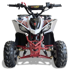 Mini Quad Infantil Malcor MTR Predator 110cc | PitBikeGP