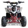 Mini Quad Infantil Malcor MTR Predator 110cc | PitBikeGP