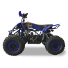 Mini Quad Malcor MTR 125c.c.