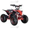 Mini Quad Infantil Malcor MTR Mini KF 50cc | PitbikeGP
