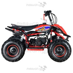 Mini Quad Infantil Malcor MTR Mini KF 50cc | PitbikeGP