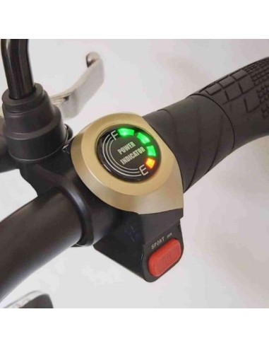 Patinete IMR 2100W Brushless