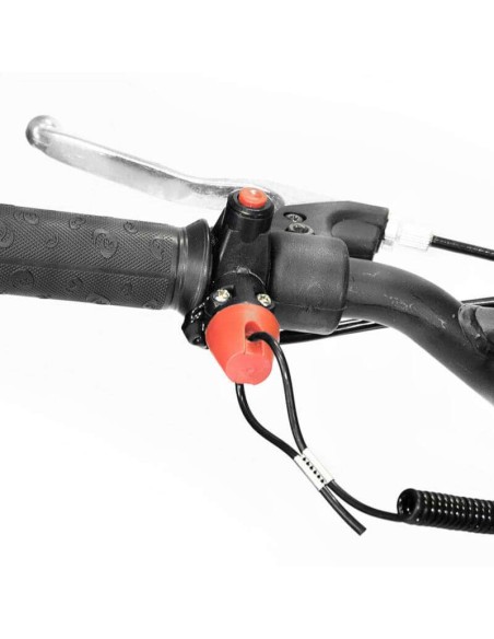 miniMoto pocketBike HOBBIT 6" 49cc